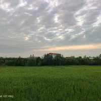 زمین مسکونی بهترین نقطه پیرواش