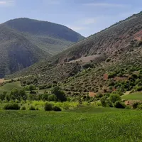 ۱هکتار نزدیک بافت ییلاقات مازندران|فروش زمین و ملک کلنگی|تهران, آذری|دیوار