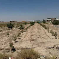 زمین-مسکونی-و-زراعی