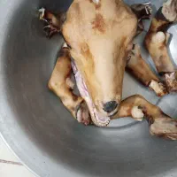 کله پاچه بزغاله نر