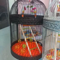 قفس گرد وقفس ۴لیوان ۶درب