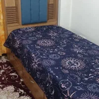 تخت یکنفره درحد نو