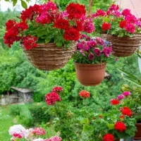 فروش سیم کارت