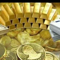 جذب سرمایه گزار