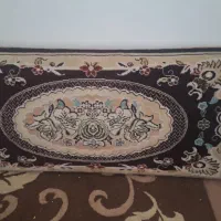 ۴عددپشتی سالم