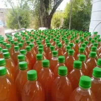 آبغوره خالص درجه یک رسید