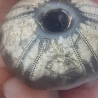 سنگ ومهره سنگ الماس  اسیاب