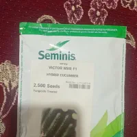 بذر گوجه بروبیو بذرخیار ویکتور اف وان  بادمجان