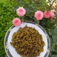 برای افراد دیابتی