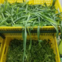 سبزیجات خرد شده 65هزار تومان