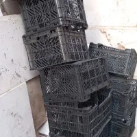 سبد گوجه