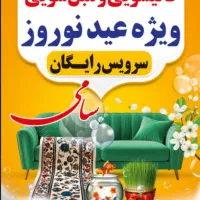 قالیشویی قالی شویی و مبل شویی