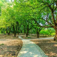 طبیعت گردی و پیاده روی
