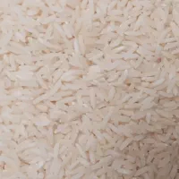 برنج مرغوب واصل صدری گیلان