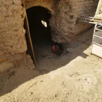خروس
