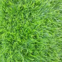 چمن مصنوعی دست دوم