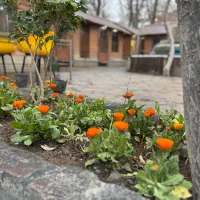 باغ رستوران جهت برگزاری میهمانی و دورهمی ها