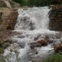 طبیعت گردی