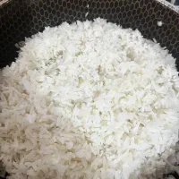 برنج کشت