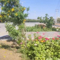 پیش فروش / واحد 140 متری / سه خواب
