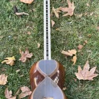 تار حرفه ای