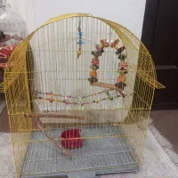 قفس پرنده