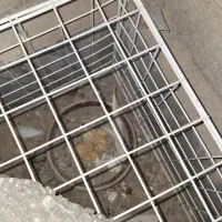 کبوتر گمشده