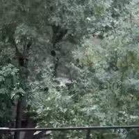 ملک-املاک
