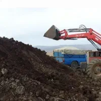 کود حیوانی گاوی سوخته خشک