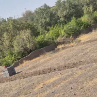زمین-متراژ-200-متر-در-روستای-هندس