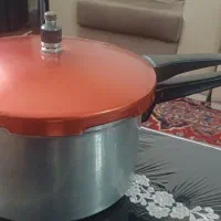 زود پز