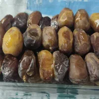 رطب عسلی کبکاب