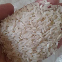 برنج طارم هاشمی خالص بشرط|خوردنی و آشامیدنی|ساری, |دیوار