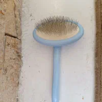 برس سگ و گربه