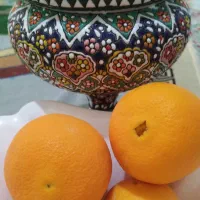 ۲ تن پرتقال نافی