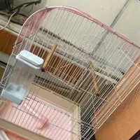 قفس پرنده