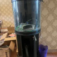 آکوارویم اکواروم