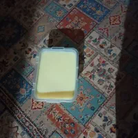 کره گوسفندی