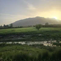 فروش ۲ هکتار زمین کشاورزی