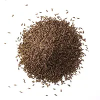 زیره درجه یک کوهی با ضمانت برگشت