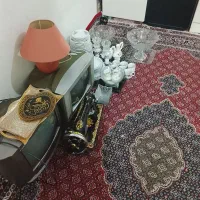 میوه خوری چینی