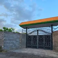 باغ و باغچه180متری /برق و آب/درختان کهن|فروش زمین و ملک کلنگی|تهران, امیریه|دیوار