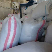 نیازمند کارگر اتباع افغانستانی آقا