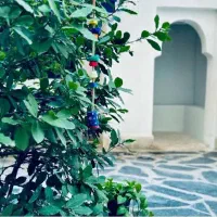 دربند /۱۳۳ متر آپارتمان ویلا