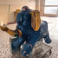 فیل تکان دهنده
