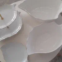 سرویس پذیرایی طرح برگ
