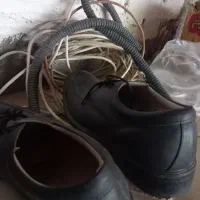 کفش مجلسی