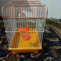 غفس