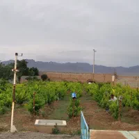 باغ با سند شش دانگ، نزدیک مزار فروتقه