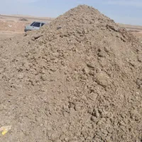 کودمرغ|خدمات باغبانی و درختکاری|ملایر, |دیوار